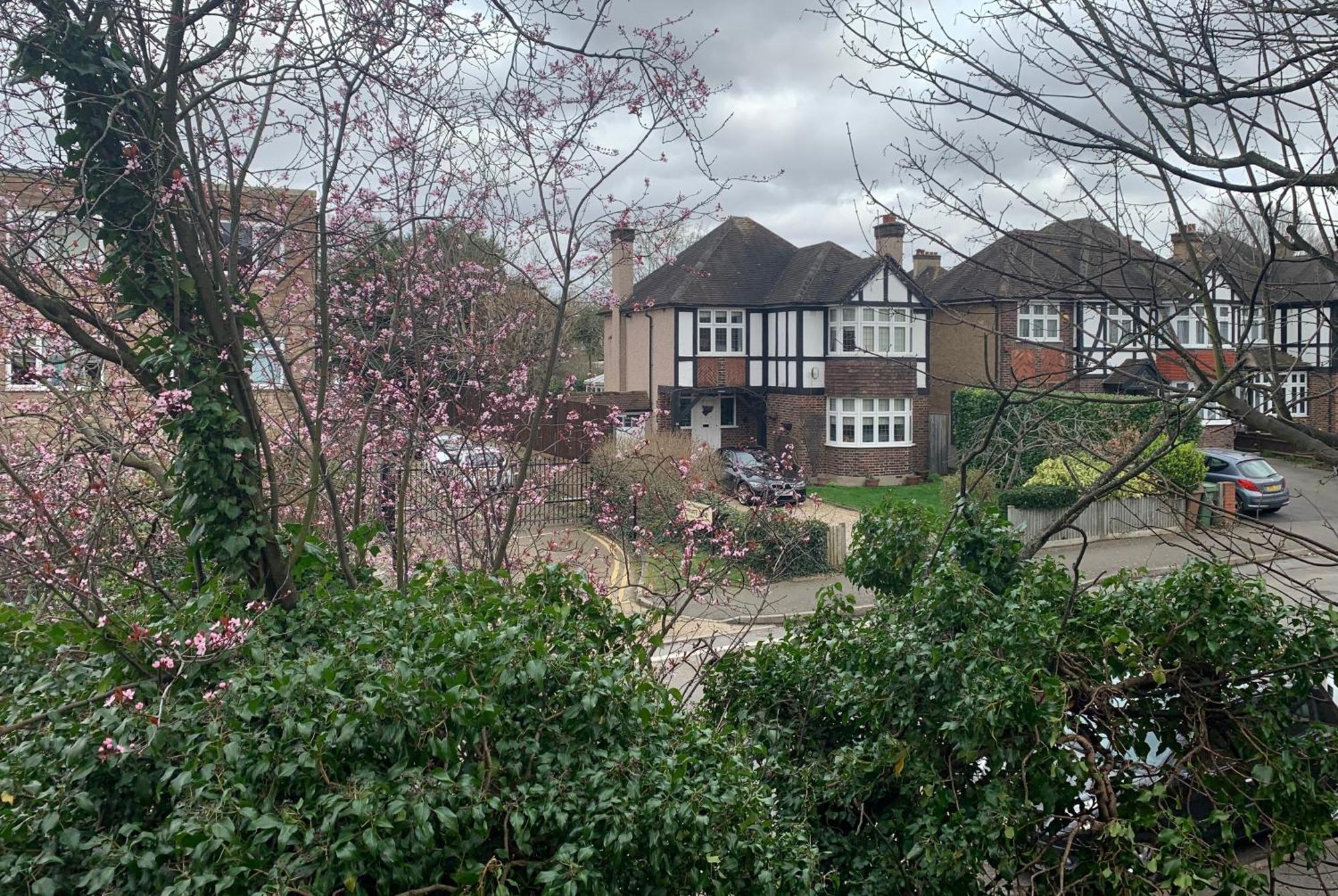 Beddington Park Lodge West Wallington Eksteriør bilde